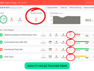 Sofware Quality Holes