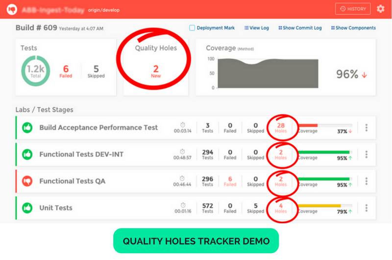 Sofware Quality Holes