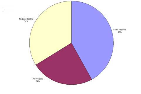 Does your organization perform load / performance testing?