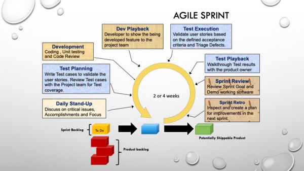 A Guide for Software Testing in Scrum