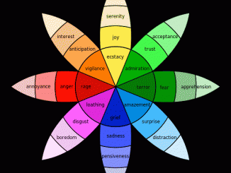 Emotions in Software Testing